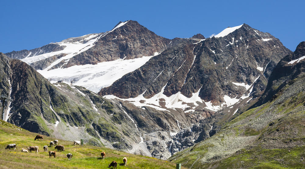 Die Braunschweiger Hütte umgeben von einem einmaligen Bergpanorama und Kühen