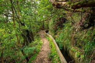 Levada dos Marinheiros
