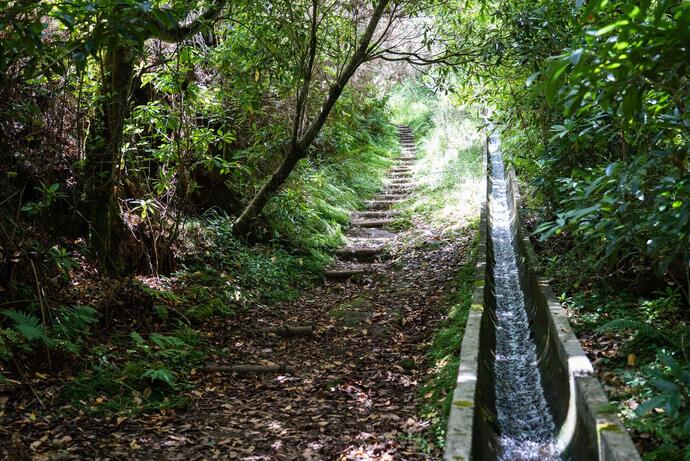 Levada da Serra do Faial