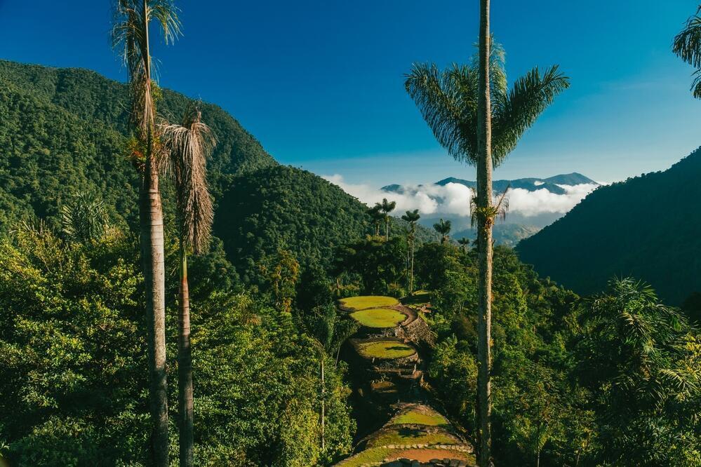 Regenwaldgebiet im Tayrona Nationalpark