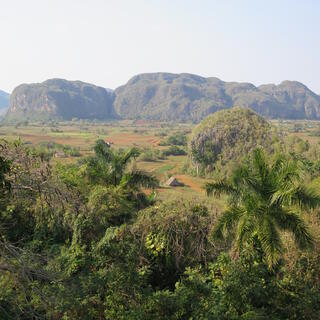 Die Karstlandschaft von Vinales