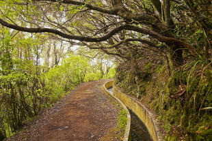 Serra do Faial