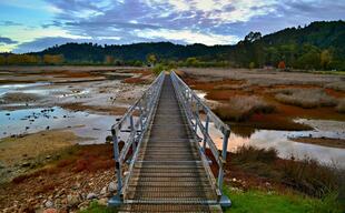 Brücke im Abel Tasman National Park 