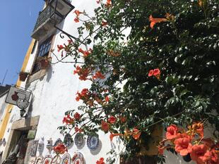 Hausfassade in Óbidos 