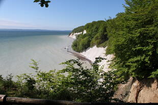 UNESCO Weltkulturerbe; Alte Buchenwälder