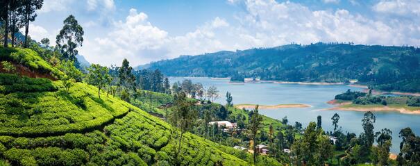 Sri Lanka, Nuwara Eliya