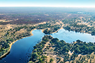 Blick auf das Okavango Delta