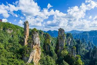 Felssäulen im Zhangjiajie Nationalpark