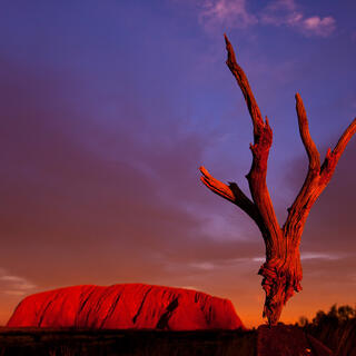 Uluru / Ayers Rock bei Sonnenuntergang 