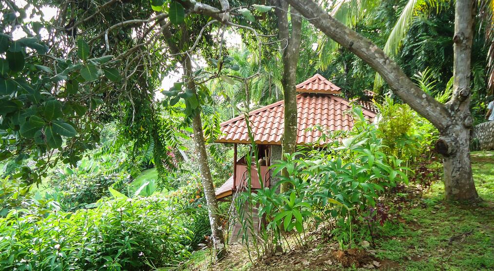 Bungalow