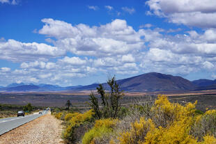  Landschaft entlang der Garden Route 