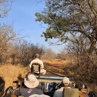 SKR-Reisegruppe auf einer Safari in Südafrika