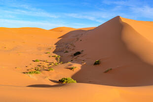 Erg Chebbi