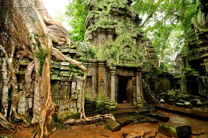 Ta-Prohm-Tempel in Angkor 
