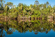 Canal des Pangalanes
