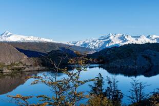 Lago Grey 