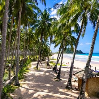 Palmenweg am Nacpan Beach
