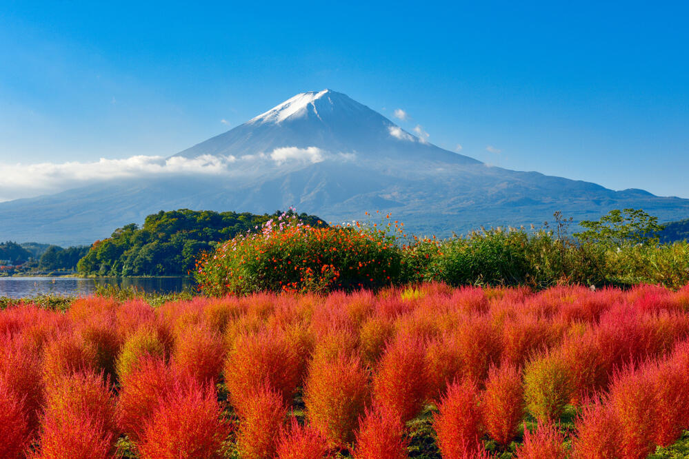 Blick auf den Mount Fuji