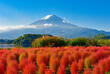 Blick auf den Mount Fuji