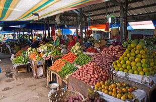 Fruchtmarkt in Brastagi