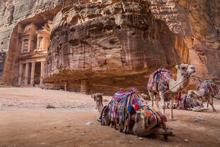 Kamele vor dem antiken Tempel 