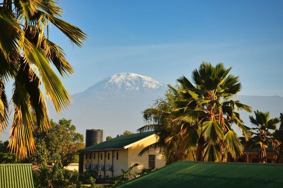 Blick auf den Kilimanjaro aus Moshi