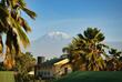 Blick auf den Kilimanjaro aus Moshi