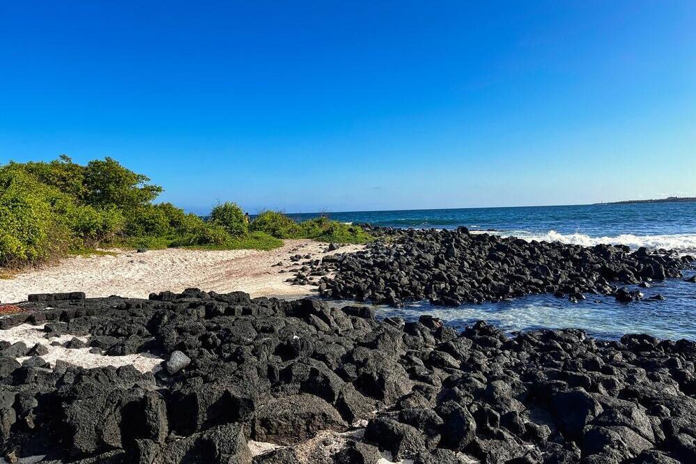 Küste der Isla Santa Cruz