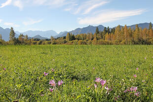 Landschaft bei Garmisch