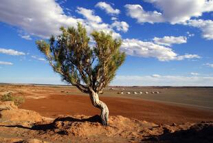Landschaft der Gobi Wüste