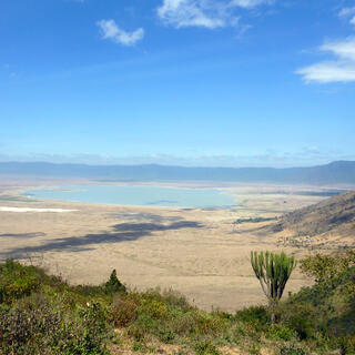 Ngorongoro Conservation Area