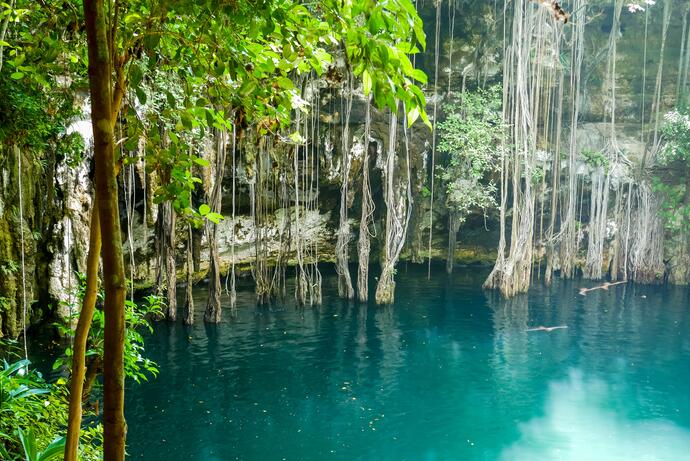 Cenote Yokdzonot