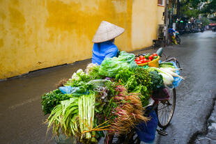 Frau mit Gemüse in den Straßen von Hoi An 