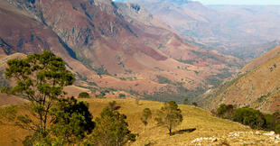 Mlilwane-Nationalpark in Swasiland