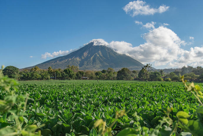 Vulkaninsel Ometepe in Nicaragua