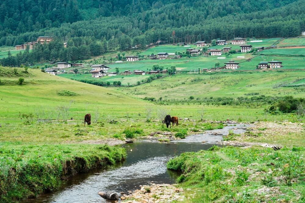 Phobjikha Tal
