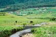 Phobjikha Tal