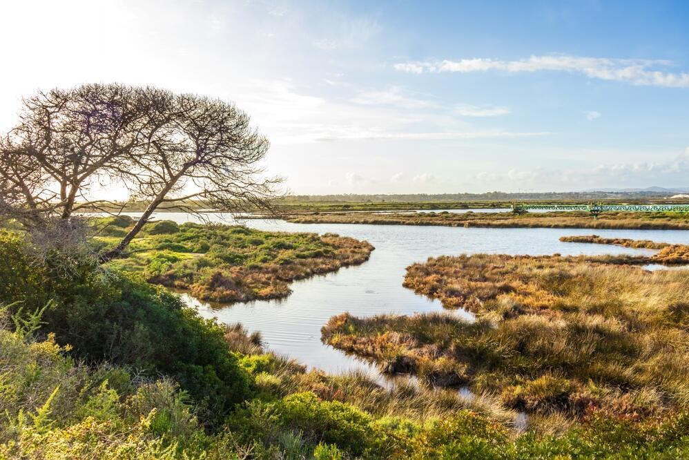Rio Farmosa