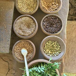 Gewürzgarten bei Kandy