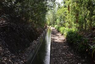 Levada dos Tornos