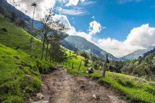 Berge der Valle del Cocora