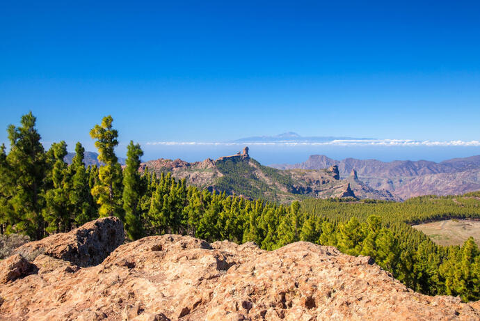 Panoramablick von Las Nieves auf einer Spanien Rundreise mit SKR