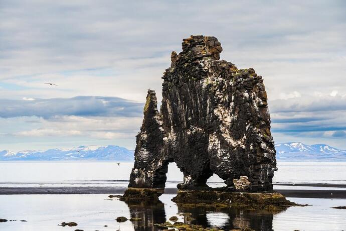 Hvítserkur Fels 