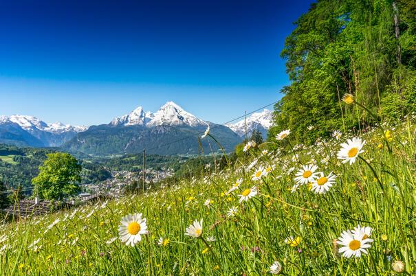 Urlaub im Bayerischen Wald