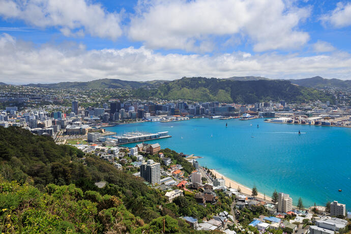 Blick auf Wellington