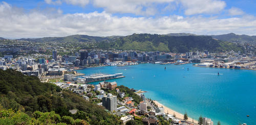 Blick auf Wellington