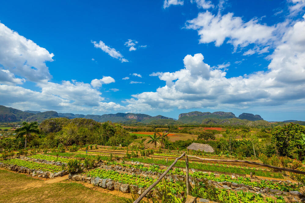 Finca Agroecológica El Paraíso