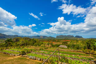 Finca Agroecológica El Paraíso