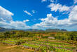 Finca Agroecológica El Paraíso