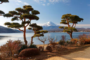Mount Fuji